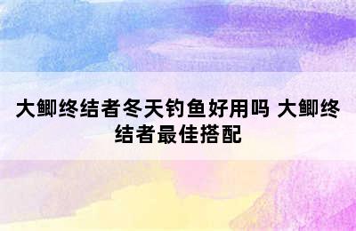 大鲫终结者冬天钓鱼好用吗 大鲫终结者最佳搭配